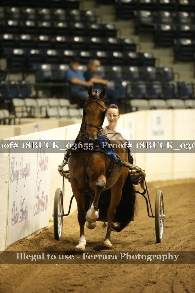 Proof 18BUCK_03655