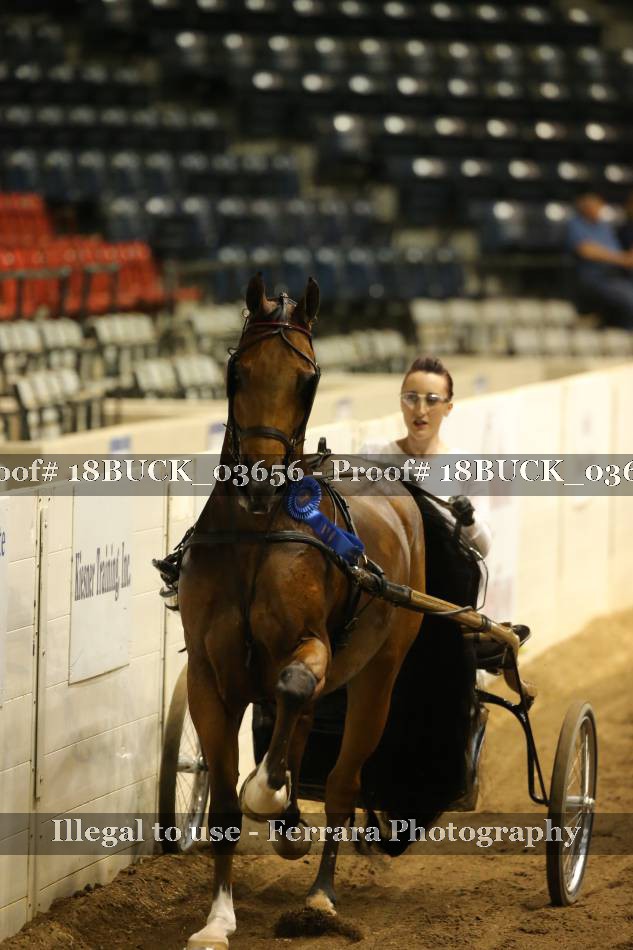 Proof 18BUCK_03656