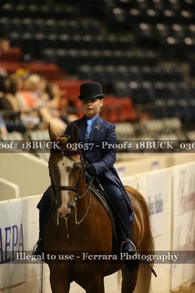 Proof 18BUCK_03657