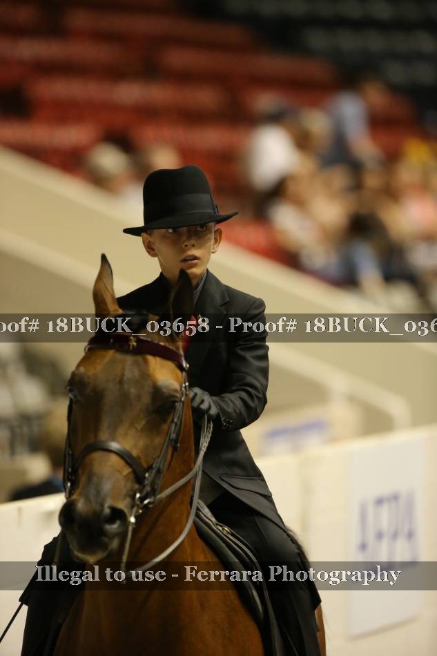 Proof 18BUCK_03658
