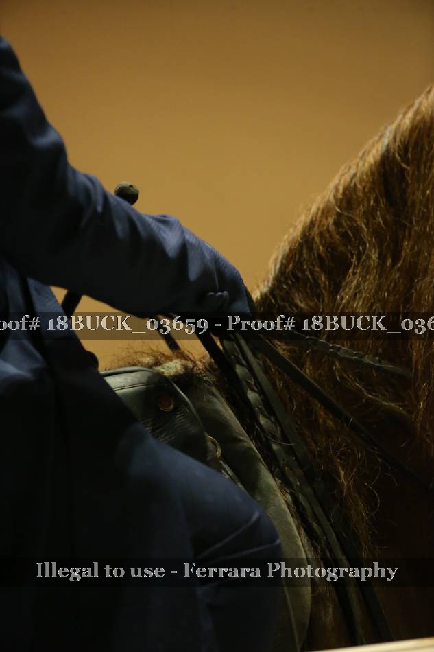 Proof 18BUCK_03659