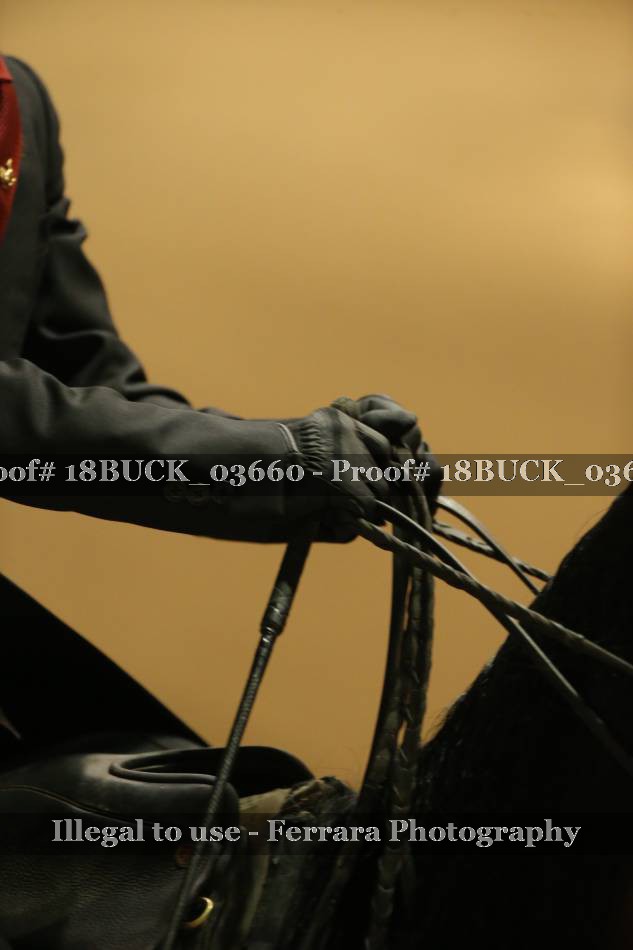 Proof 18BUCK_03660