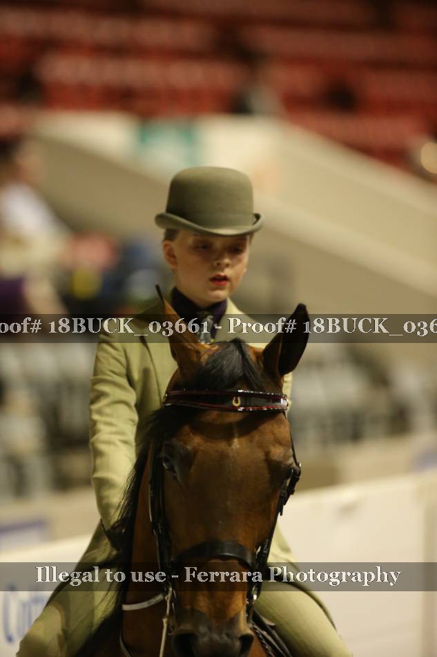 Proof 18BUCK_03661