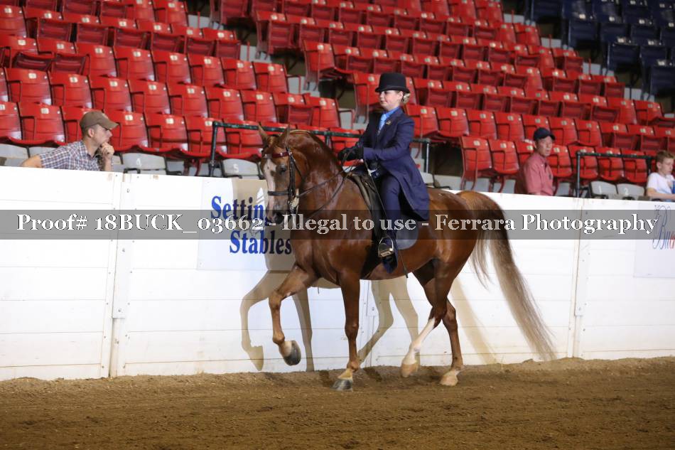 Proof 18BUCK_03662