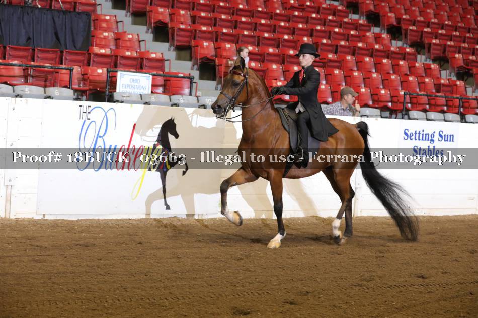 Proof 18BUCK_03663