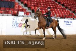18BUCK_03663 proof
