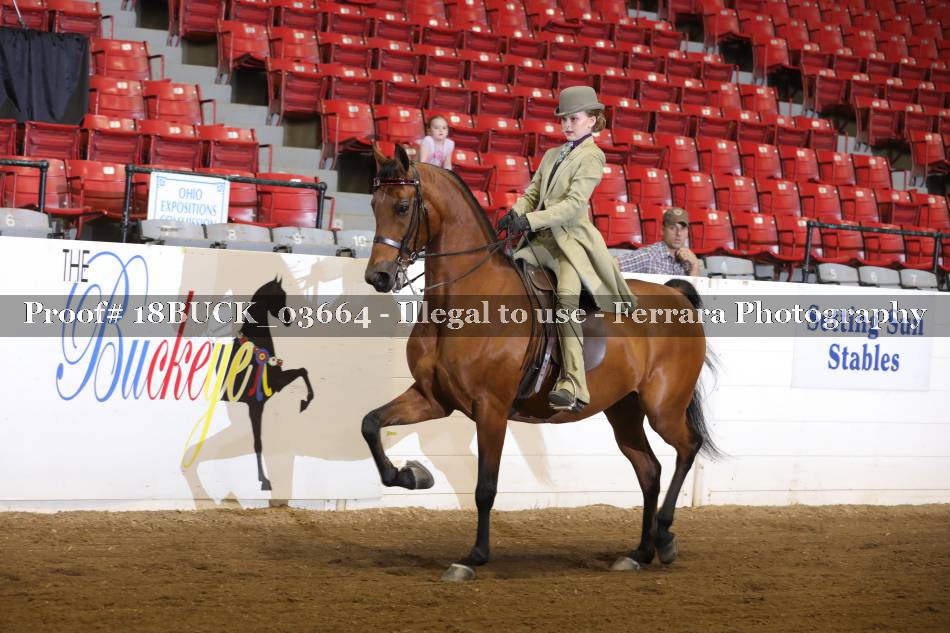 Proof 18BUCK_03664