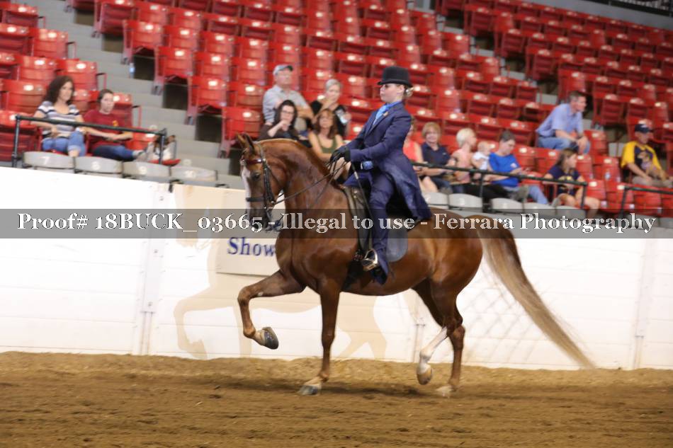 Proof 18BUCK_03665