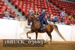 18BUCK_03665 proof