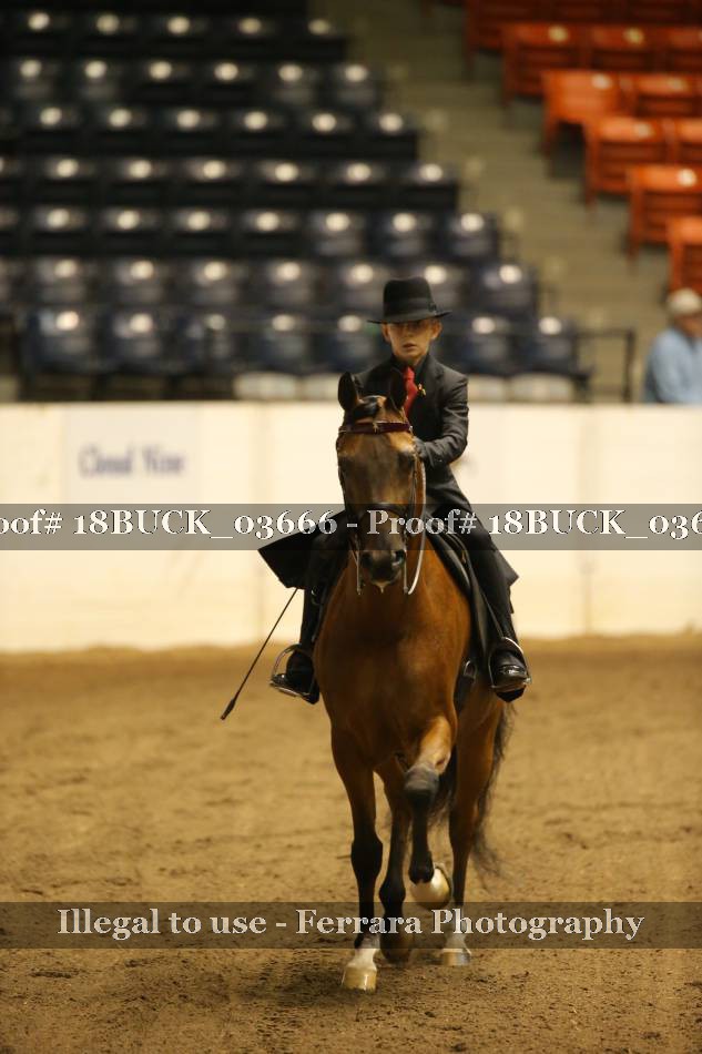 Proof 18BUCK_03666