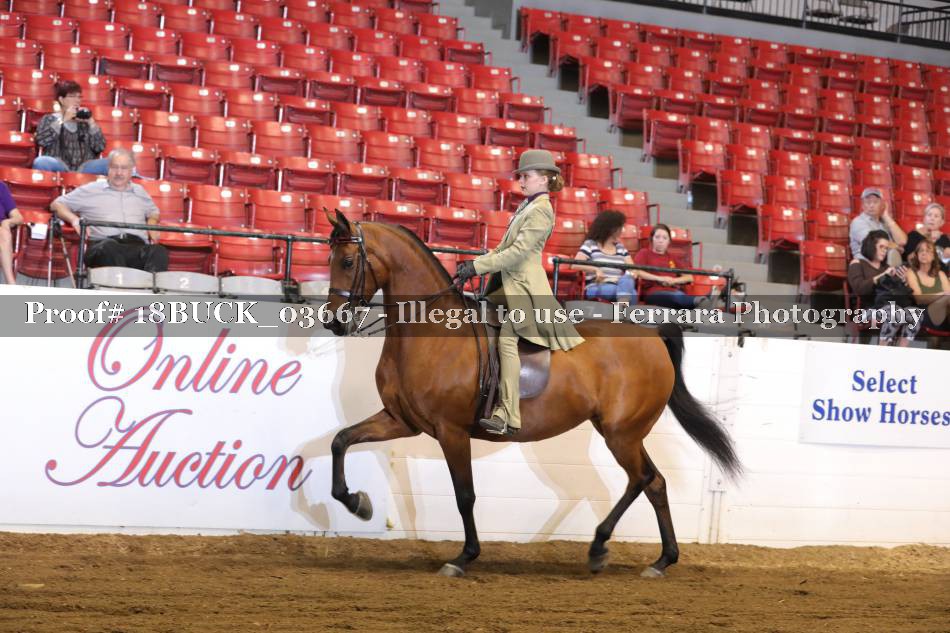 Proof 18BUCK_03667