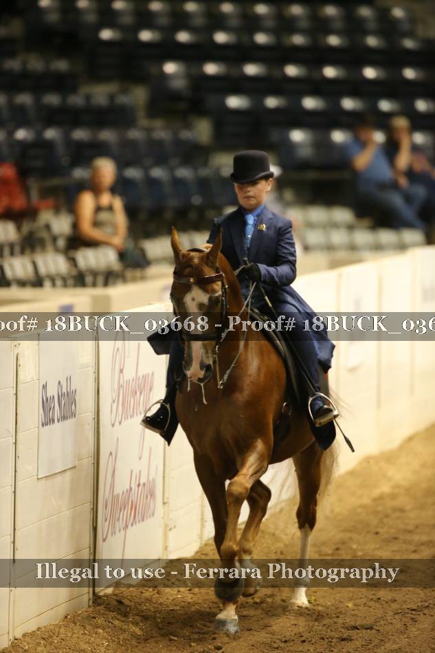 Proof 18BUCK_03668