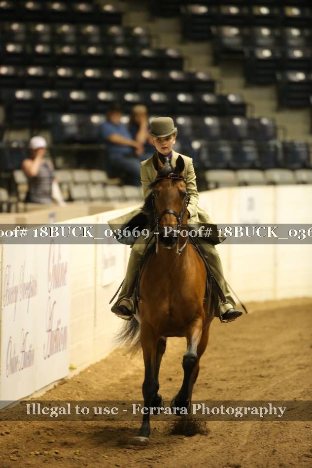 Proof 18BUCK_03669