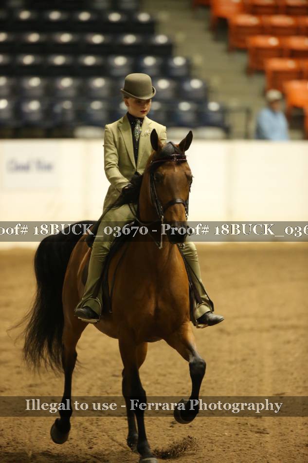 Proof 18BUCK_03670
