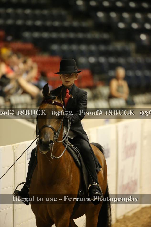 Proof 18BUCK_03672