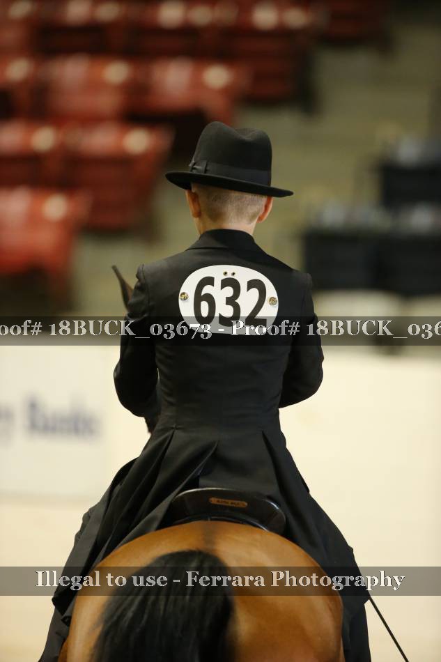 Proof 18BUCK_03673