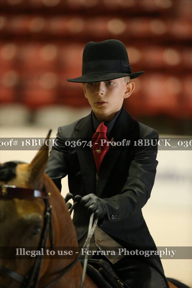 Proof 18BUCK_03674