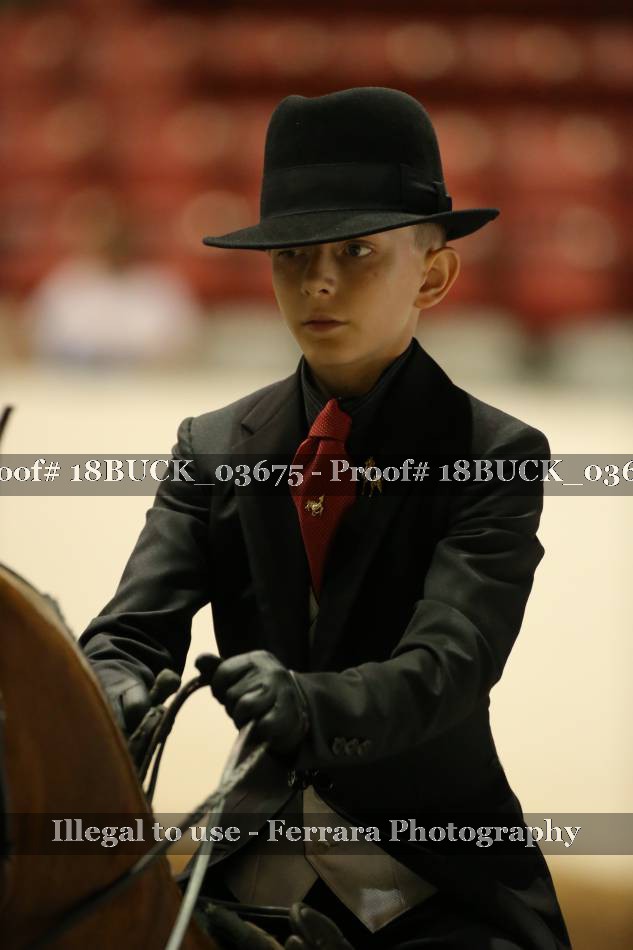 Proof 18BUCK_03675