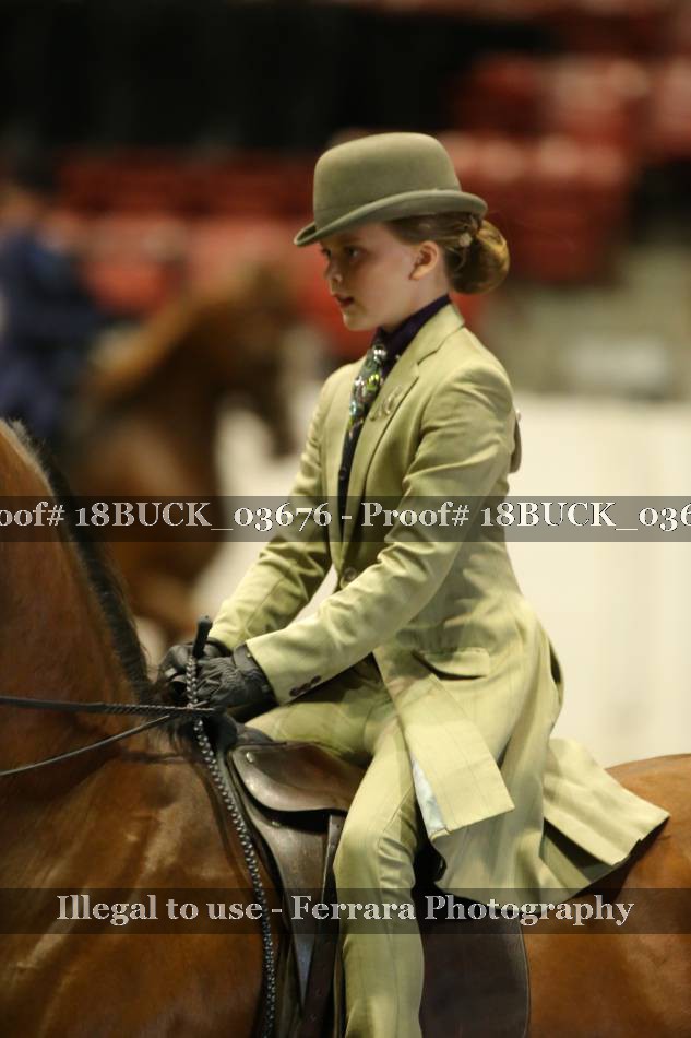 Proof 18BUCK_03676