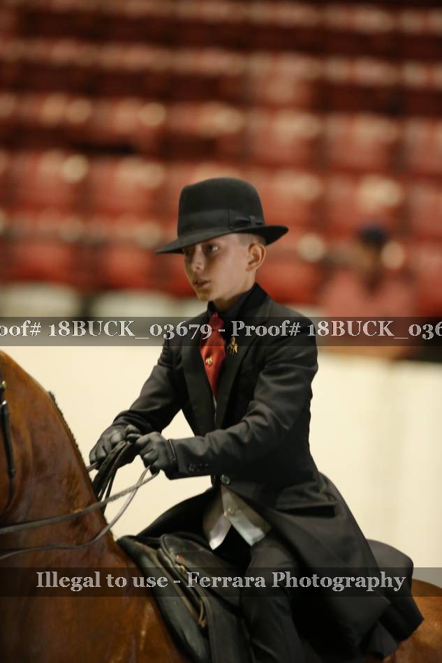 Proof 18BUCK_03679