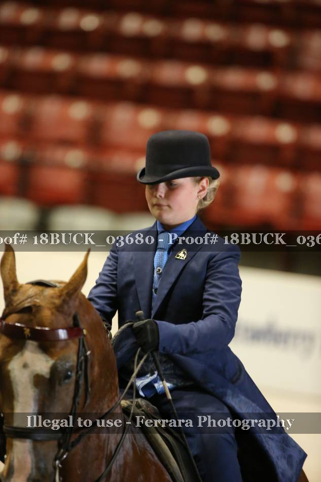 Proof 18BUCK_03680