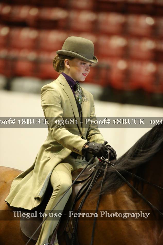 Proof 18BUCK_03681