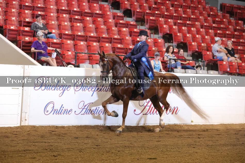 Proof 18BUCK_03682