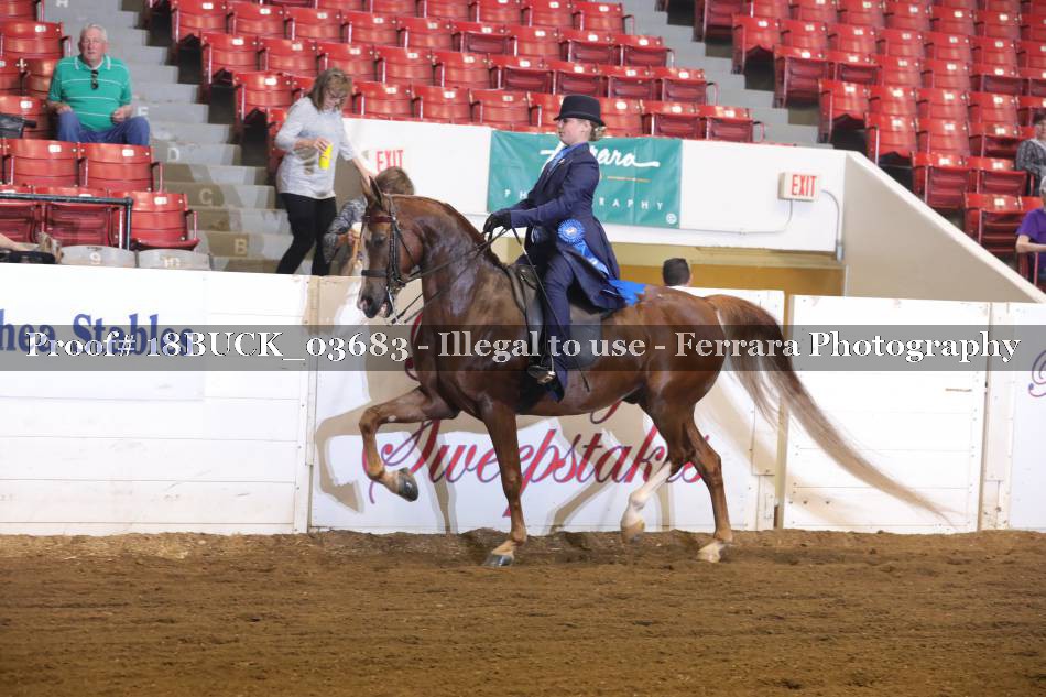 Proof 18BUCK_03683