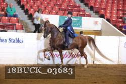 18BUCK_03683 proof