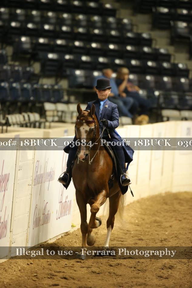 Proof 18BUCK_03684