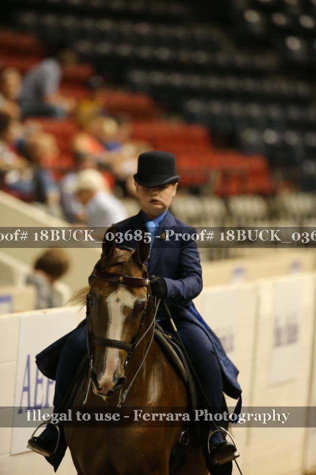Proof 18BUCK_03685