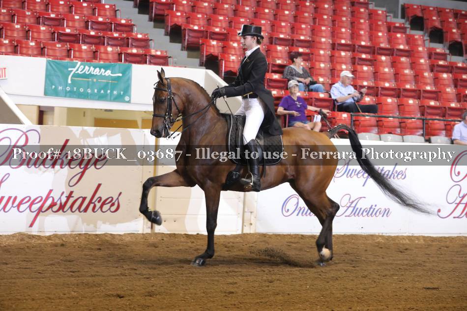 Proof 18BUCK_03687