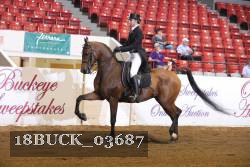 18BUCK_03687 proof