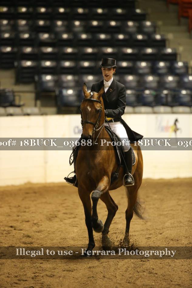 Proof 18BUCK_03688