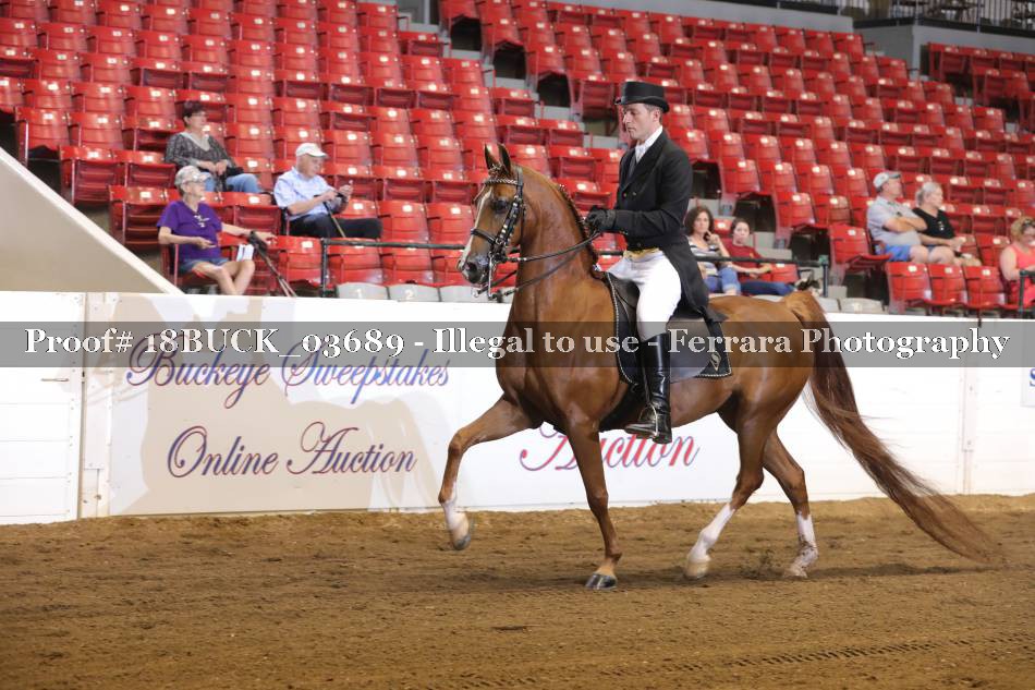 Proof 18BUCK_03689