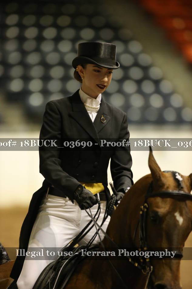 Proof 18BUCK_03690