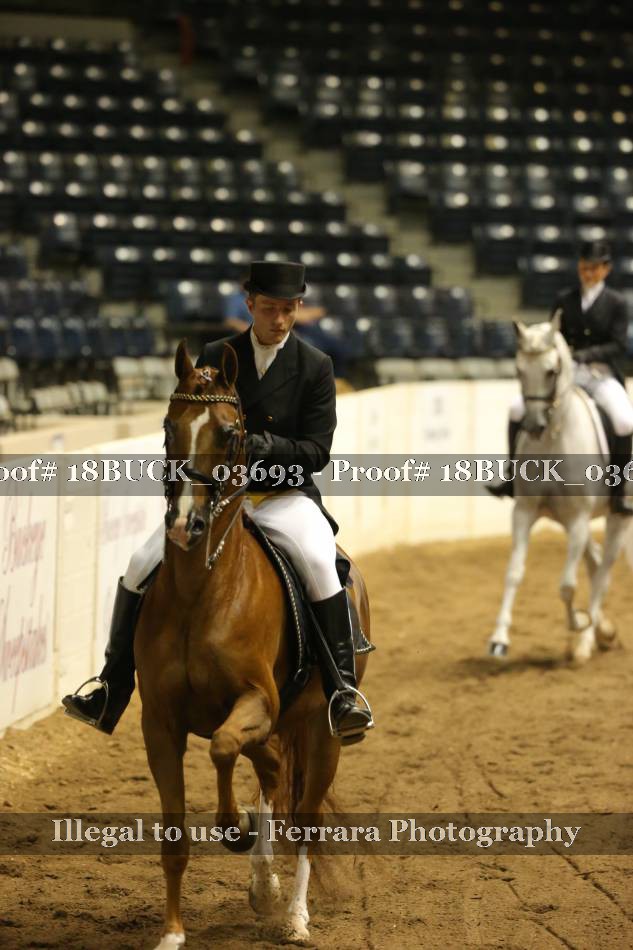 Proof 18BUCK_03693