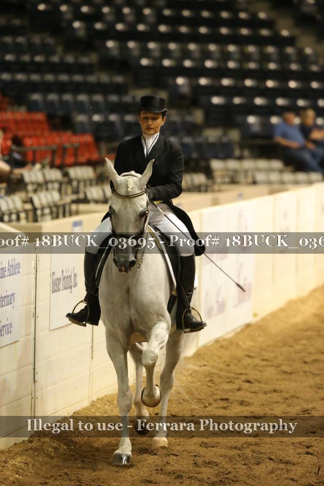 Proof 18BUCK_03695