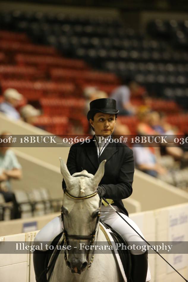 Proof 18BUCK_03696