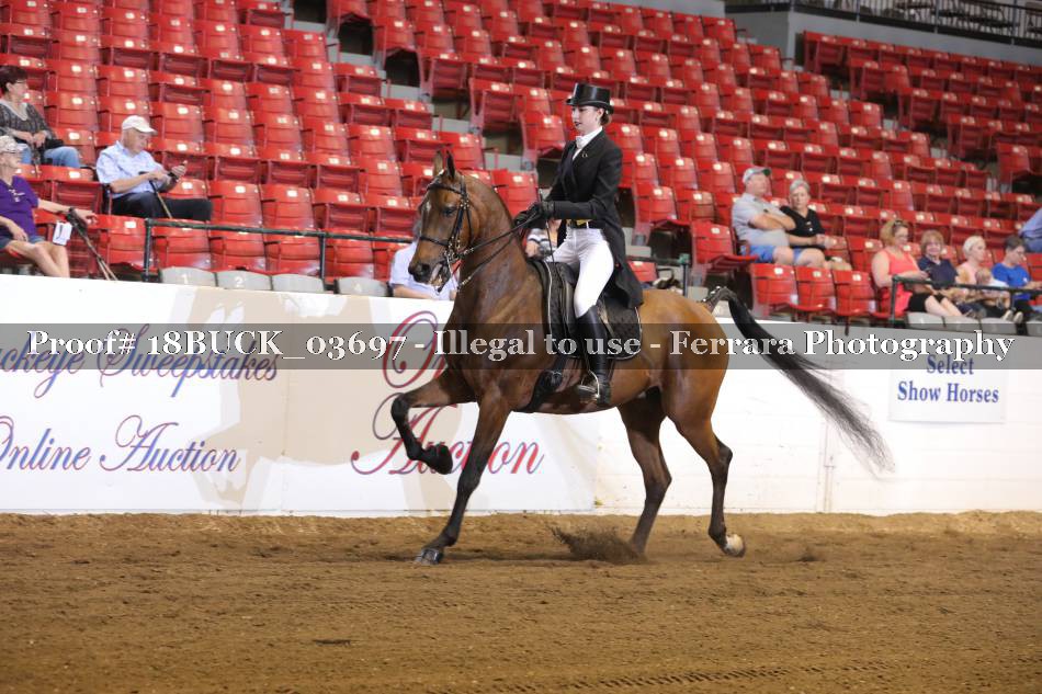 Proof 18BUCK_03697
