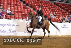 18BUCK_03697 proof