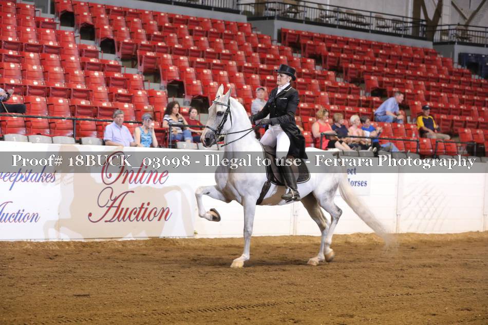 Proof 18BUCK_03698