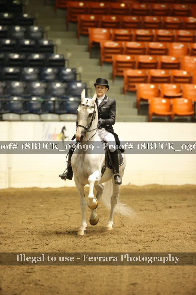 Proof 18BUCK_03699