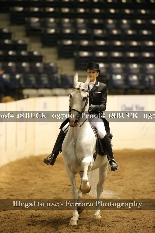 Proof 18BUCK_03700