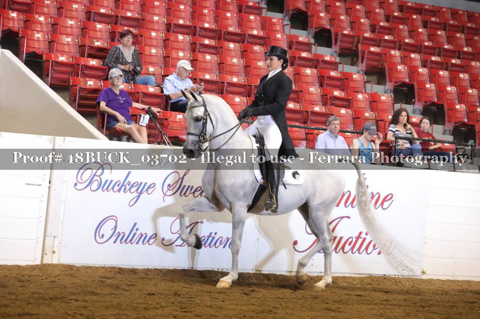 Proof 18BUCK_03702