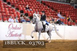 18BUCK_03703 proof
