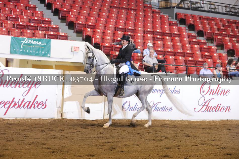 Proof 18BUCK_03704