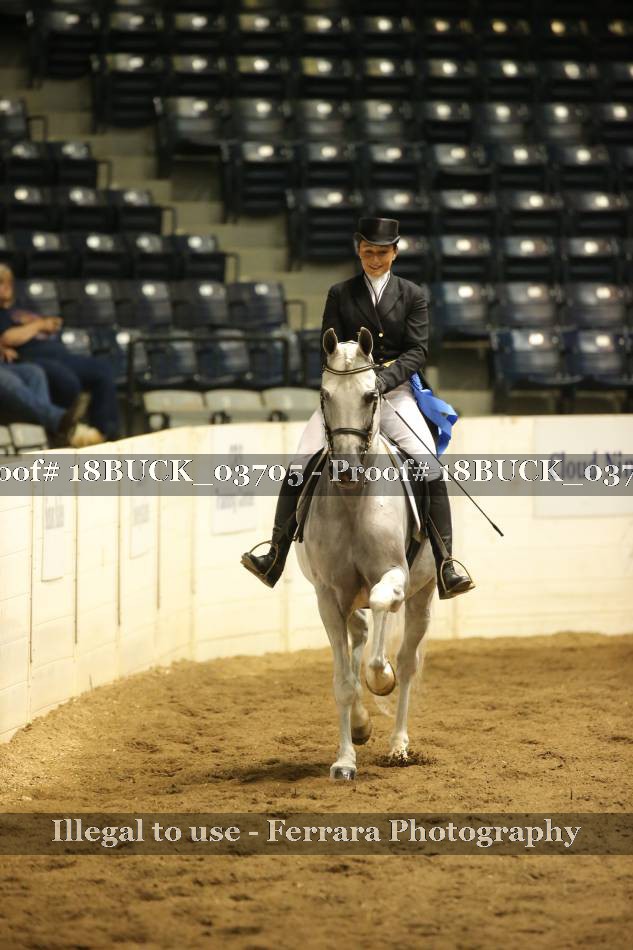 Proof 18BUCK_03705