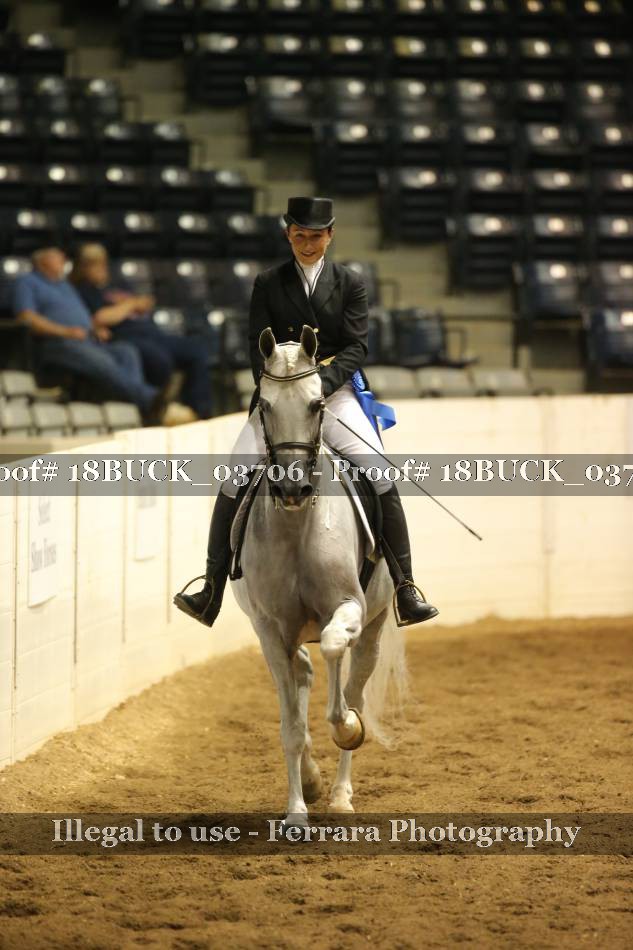 Proof 18BUCK_03706