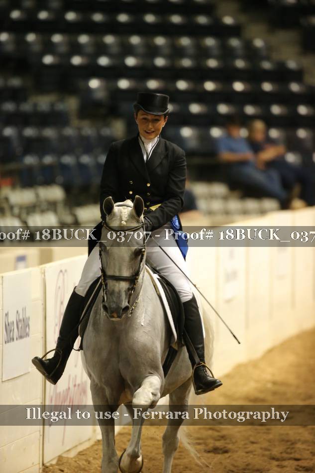 Proof 18BUCK_03707
